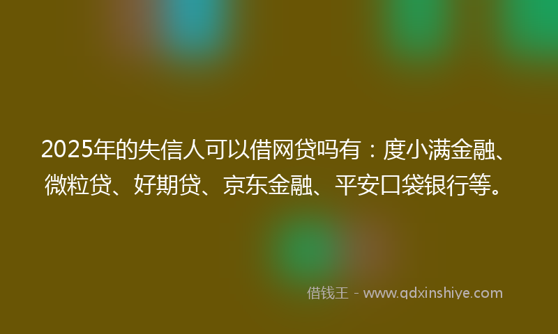2025年的失信人可以借网贷吗有：度小满金融、微粒贷、好期贷、京东金融、平安口袋银行等。