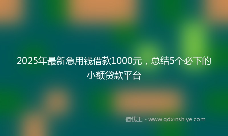 2025年最新急用钱借款1000元，总结5个必下的小额贷款平台