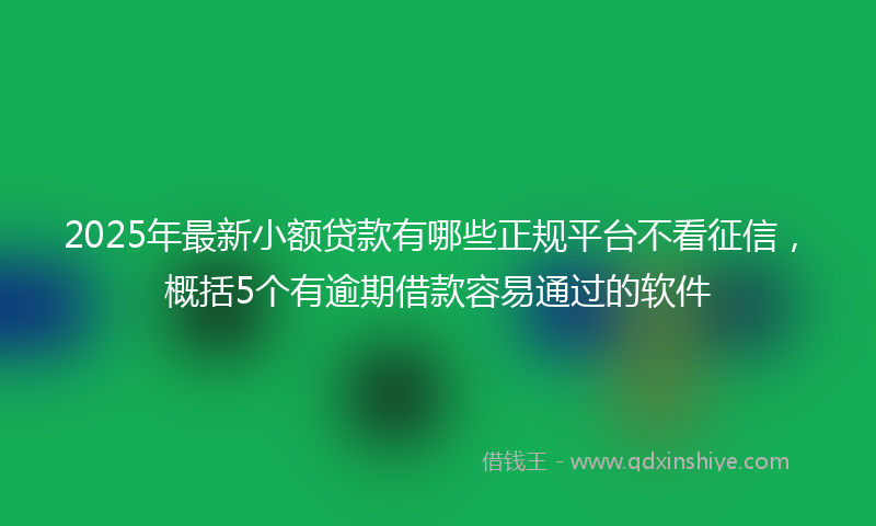 2025年最新小额贷款有哪些正规平台不看征信，概括5个有逾期借款容易通过的软件