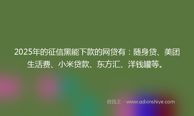 2025年的征信黑能下款的网贷有：随身贷、美团生活费、小米贷款、东方汇、洋钱罐等。