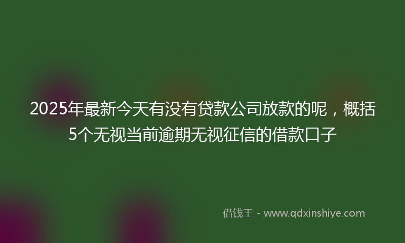 2025年最新今天有没有贷款公司放款的呢，概括5个无视当前逾期无视征信的借款口子