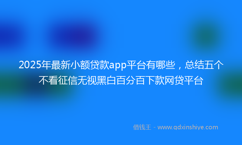 2025年最新小额贷款app平台有哪些，总结五个不看征信无视黑白百分百下款网贷平台