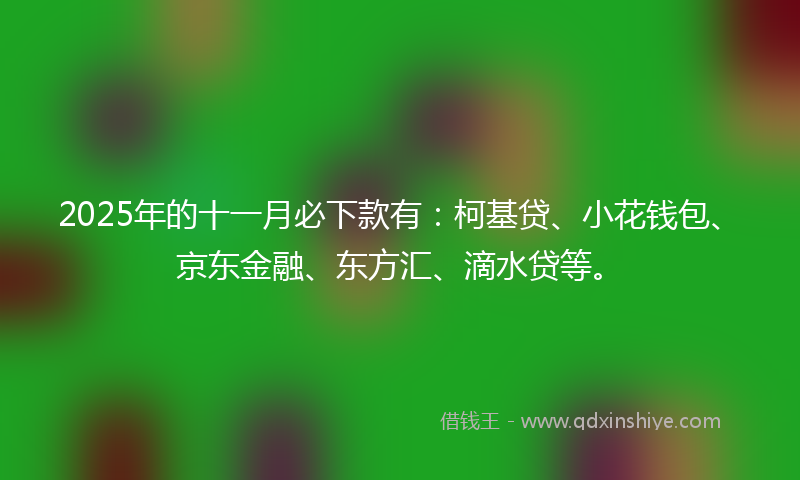 2025年的十一月必下款有：柯基贷、小花钱包、京东金融、东方汇、滴水贷等。