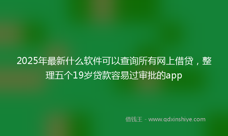 2025年最新什么软件可以查询所有网上借贷，整理五个19岁贷款容易过审批的app