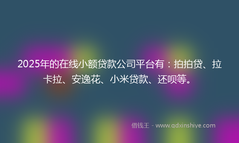 2025年的在线小额贷款公司平台有：拍拍贷、拉卡拉、安逸花、小米贷款、还呗等。