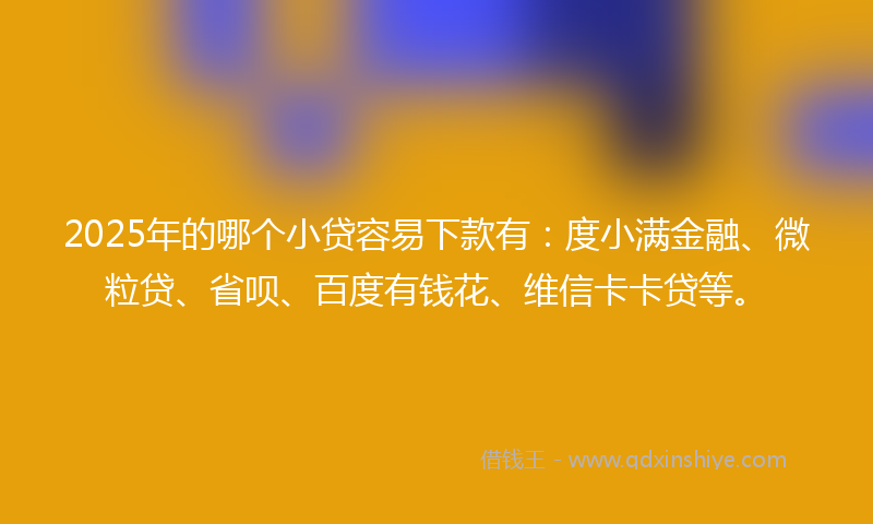 2025年的哪个小贷容易下款有：度小满金融、微粒贷、省呗、百度有钱花、维信卡卡贷等。