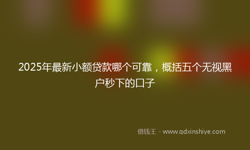 2025年最新小额贷款哪个可靠，概括五个无视黑户秒下的口子