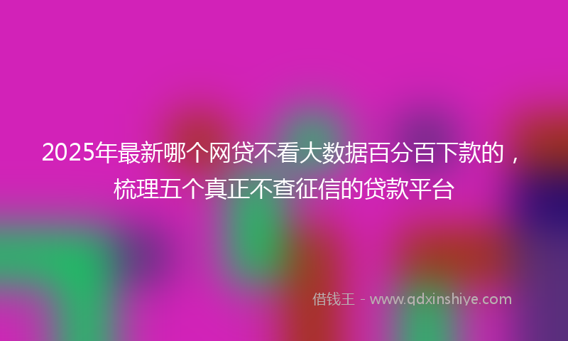 2025年最新哪个网贷不看大数据百分百下款的，梳理五个真正不查征信的贷款平台