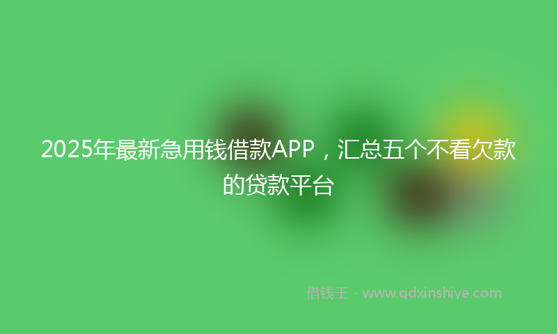 2025年最新急用钱借款APP，汇总五个不看欠款的贷款平台