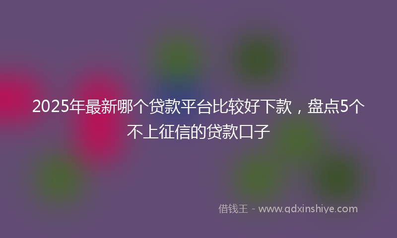 2025年最新哪个贷款平台比较好下款，盘点5个不上征信的贷款口子