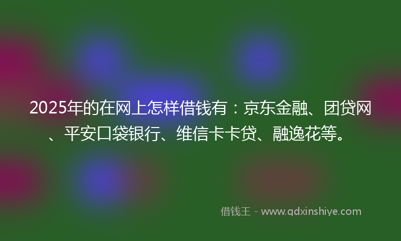 2025年的在网上怎样借钱有：京东金融、团贷网、平安口袋银行、维信卡卡贷、融逸花等。