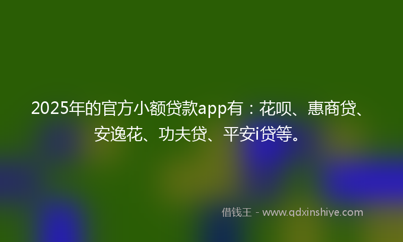 2025年的官方小额贷款app有：花呗、惠商贷、安逸花、功夫贷、平安i贷等。