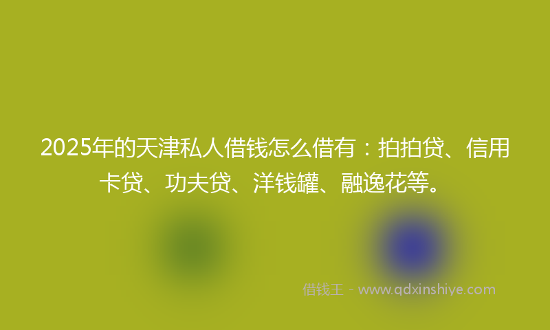 2025年的天津私人借钱怎么借有：拍拍贷、信用卡贷、功夫贷、洋钱罐、融逸花等。
