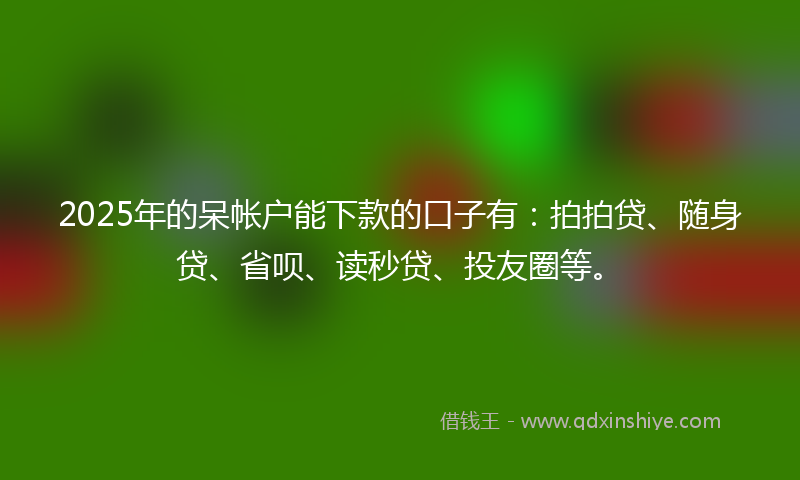 2025年的呆帐户能下款的口子有：拍拍贷、随身贷、省呗、读秒贷、投友圈等。
