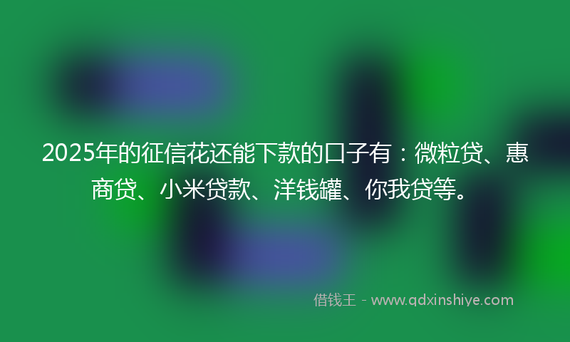 2025年的征信花还能下款的口子有：微粒贷、惠商贷、小米贷款、洋钱罐、你我贷等。
