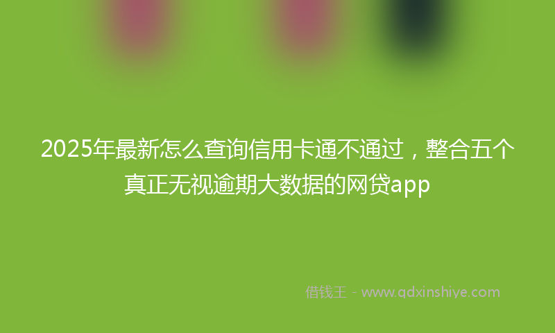 2025年最新怎么查询信用卡通不通过，整合五个真正无视逾期大数据的网贷app