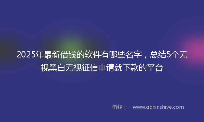 2025年最新借钱的软件有哪些名字，总结5个无视黑白无视征信申请就下款的平台