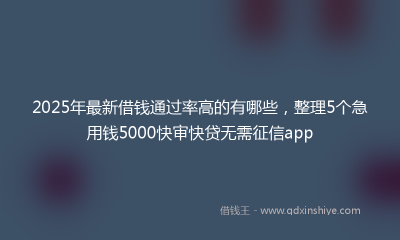 2025年最新借钱通过率高的有哪些，整理5个急用钱5000快审快贷无需征信app