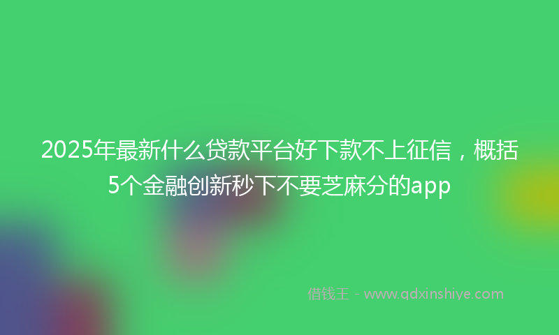 2025年最新什么贷款平台好下款不上征信，概括5个金融创新秒下不要芝麻分的app