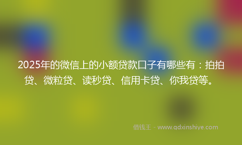 2025年的微信上的小额贷款口子有哪些有：拍拍贷、微粒贷、读秒贷、信用卡贷、你我贷等。