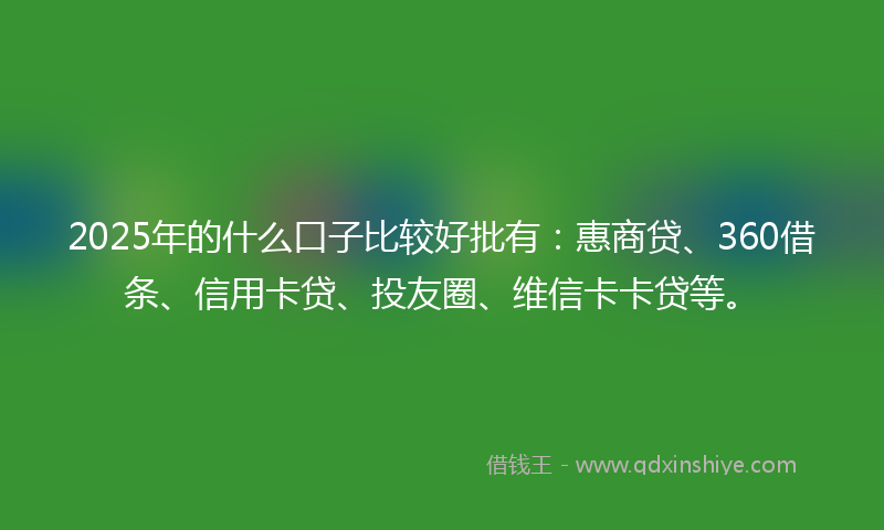 2025年的什么口子比较好批有：惠商贷、360借条、信用卡贷、投友圈、维信卡卡贷等。