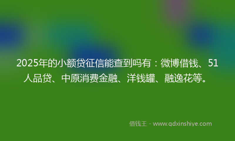 2025年的小额贷征信能查到吗有：微博借钱、51人品贷、中原消费金融、洋钱罐、融逸花等。
