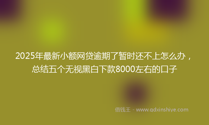 2025年最新小额网贷逾期了暂时还不上怎么办，总结五个无视黑白下款8000左右的口子