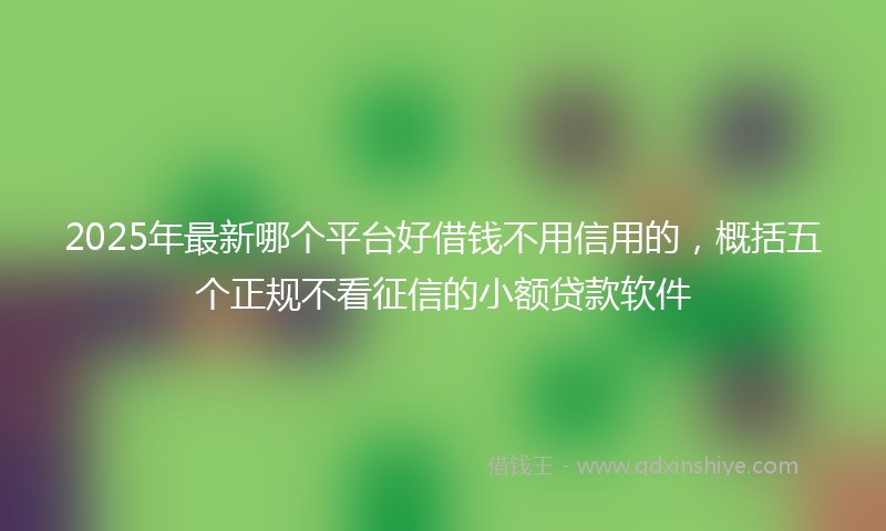 2025年最新哪个平台好借钱不用信用的，概括五个正规不看征信的小额贷款软件