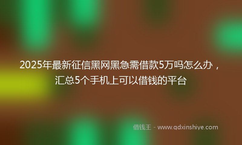 2025年最新征信黑网黑急需借款5万吗怎么办，汇总5个手机上可以借钱的平台