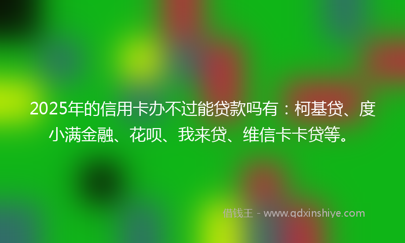 2025年的信用卡办不过能贷款吗有：柯基贷、度小满金融、花呗、我来贷、维信卡卡贷等。