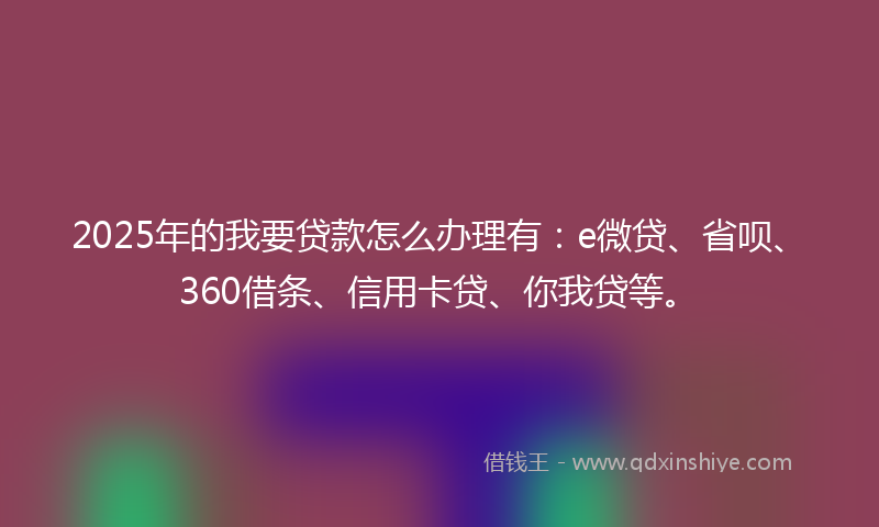 2025年的我要贷款怎么办理有：e微贷、省呗、360借条、信用卡贷、你我贷等。