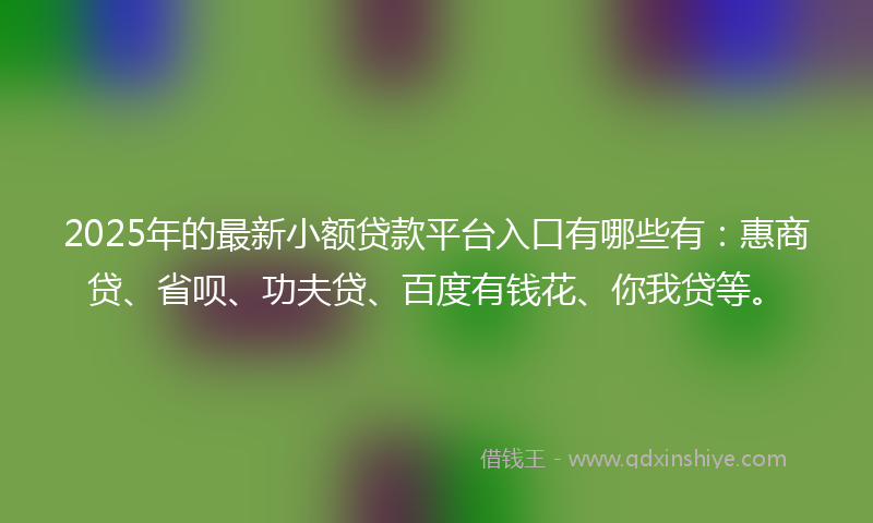 2025年的最新小额贷款平台入口有哪些有：惠商贷、省呗、功夫贷、百度有钱花、你我贷等。