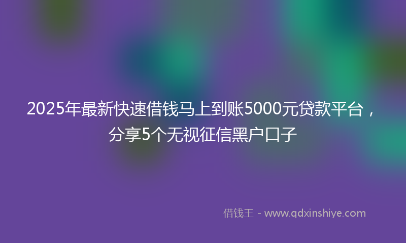 2025年最新快速借钱马上到账5000元贷款平台，分享5个无视征信黑户口子