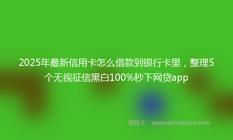 2025年最新信用卡怎么借款到银行卡里，整理5个无视征信黑白100%秒下网贷app
