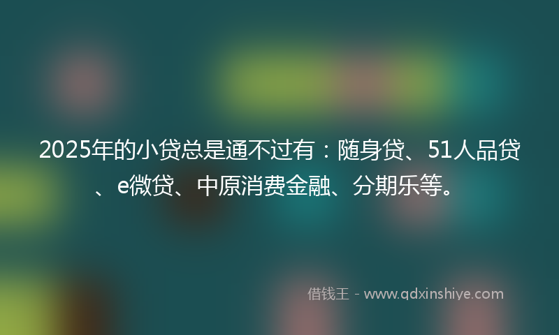 2025年的小贷总是通不过有：随身贷、51人品贷、e微贷、中原消费金融、分期乐等。