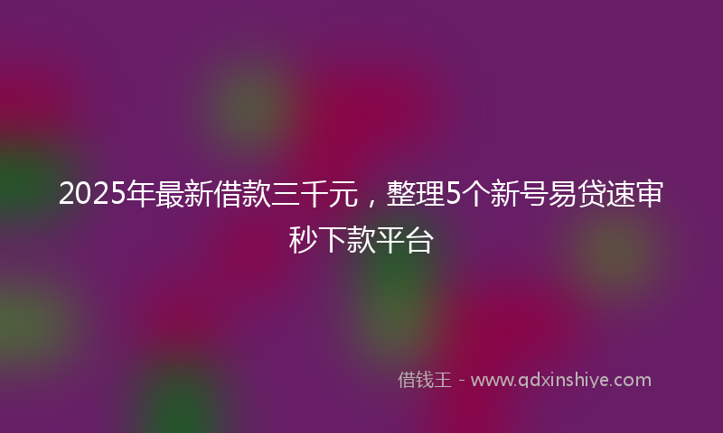 2025年最新借款三千元，整理5个新号易贷速审秒下款平台