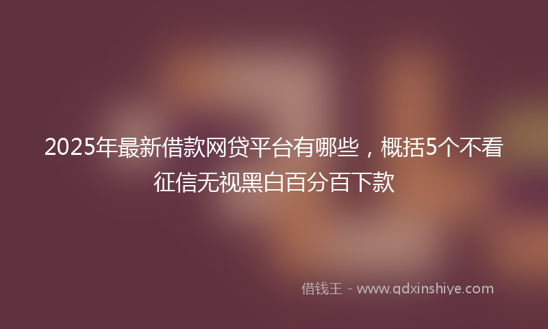 2025年最新借款网贷平台有哪些，概括5个不看征信无视黑白百分百下款