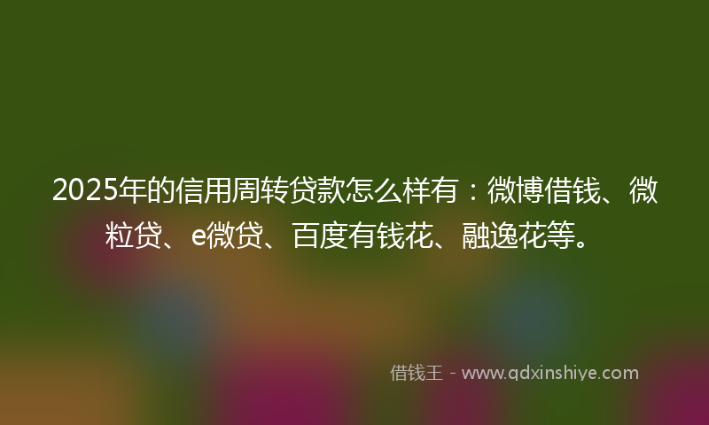 2025年的信用周转贷款怎么样有：微博借钱、微粒贷、e微贷、百度有钱花、融逸花等。