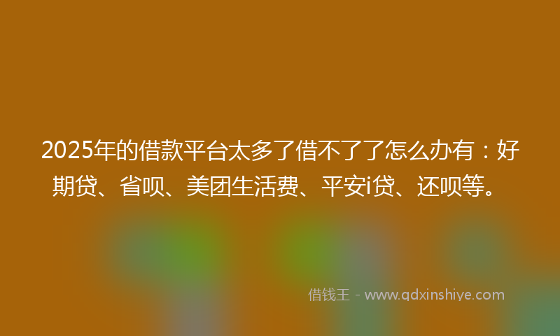 2025年的借款平台太多了借不了了怎么办有：好期贷、省呗、美团生活费、平安i贷、还呗等。
