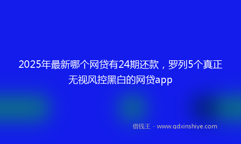 2025年最新哪个网贷有24期还款，罗列5个真正无视风控黑白的网贷app