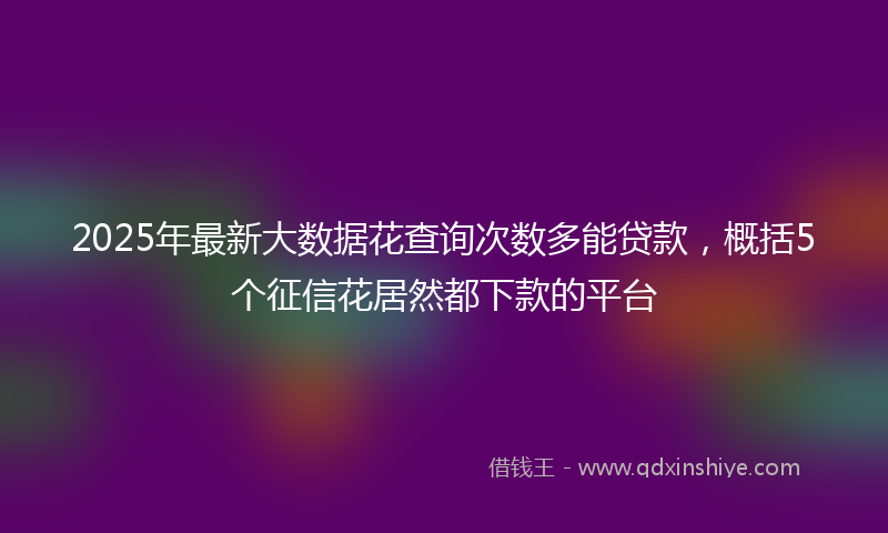 2025年最新大数据花查询次数多能贷款，概括5个征信花居然都下款的平台