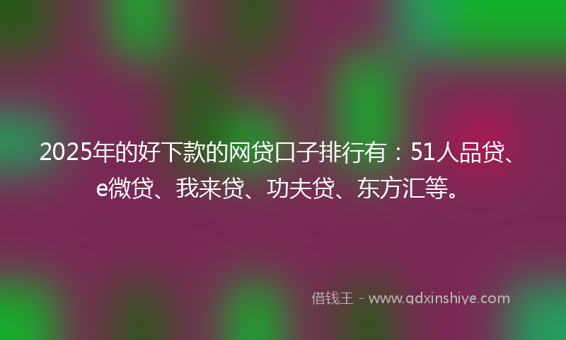 2025年的好下款的网贷口子排行有：51人品贷、e微贷、我来贷、功夫贷、东方汇等。