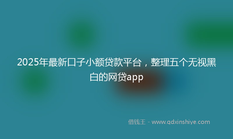 2025年最新口子小额贷款平台，整理五个无视黑白的网贷app