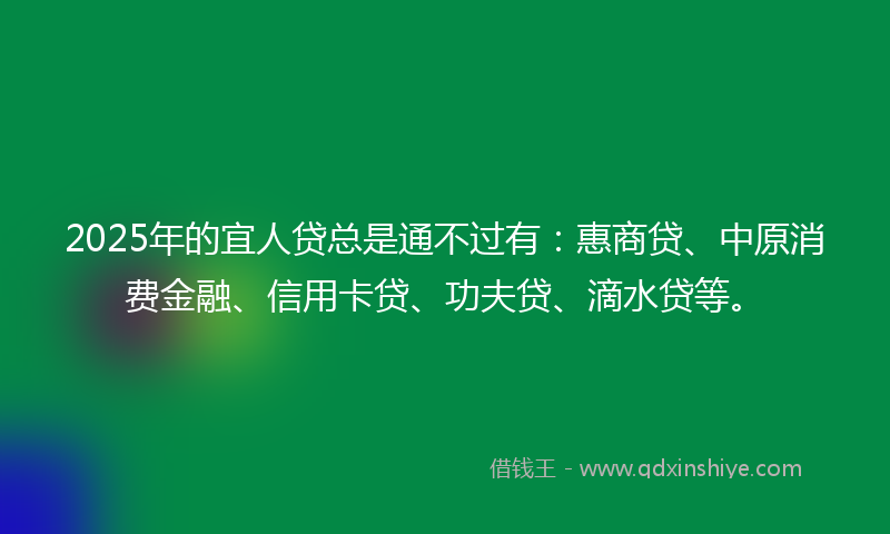 2025年的宜人贷总是通不过有：惠商贷、中原消费金融、信用卡贷、功夫贷、滴水贷等。