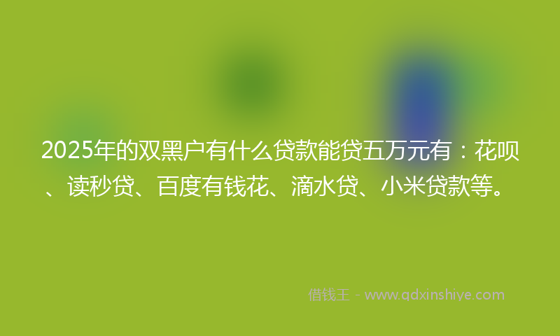 2025年的双黑户有什么贷款能贷五万元有：花呗、读秒贷、百度有钱花、滴水贷、小米贷款等。