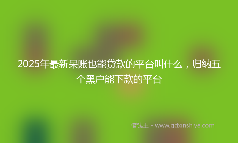 2025年最新呆账也能贷款的平台叫什么，归纳五个黑户能下款的平台