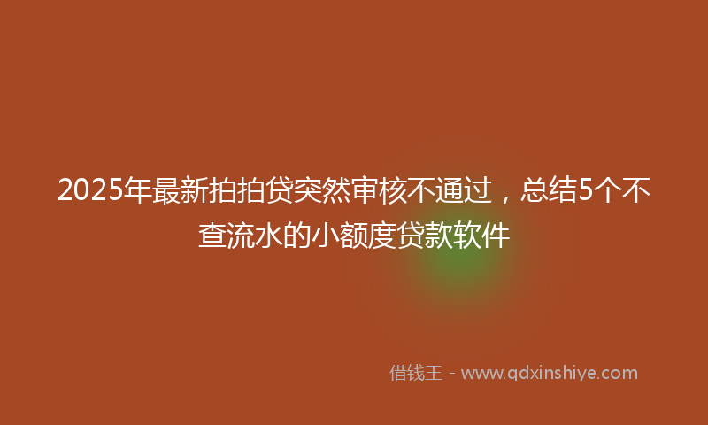 2025年最新拍拍贷突然审核不通过，总结5个不查流水的小额度贷款软件