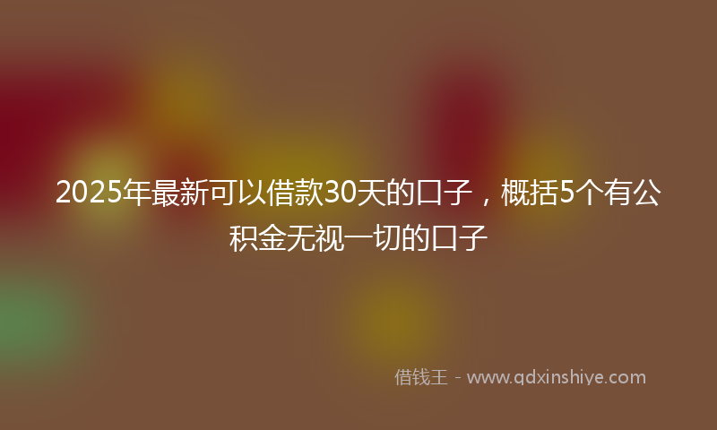 2025年最新可以借款30天的口子，概括5个有公积金无视一切的口子