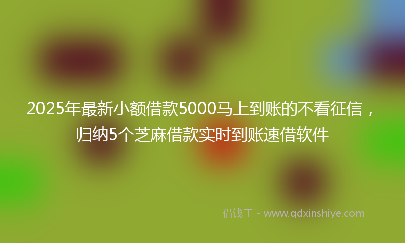 2025年最新小额借款5000马上到账的不看征信，归纳5个芝麻借款实时到账速借软件