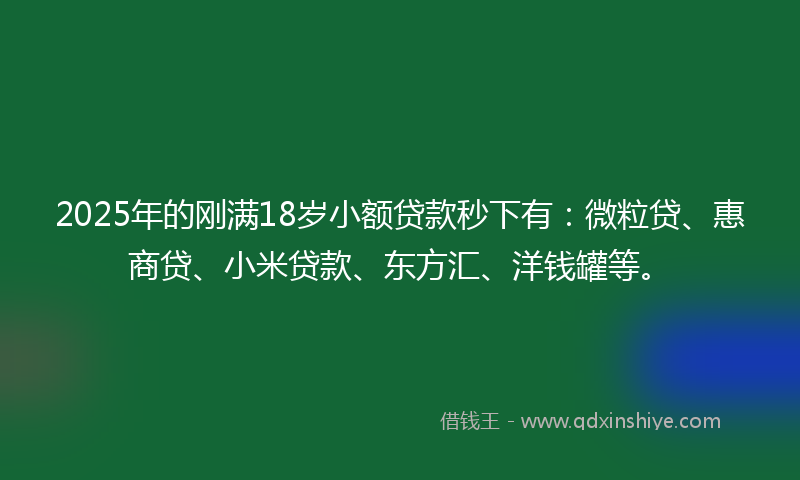 2025年的刚满18岁小额贷款秒下有：微粒贷、惠商贷、小米贷款、东方汇、洋钱罐等。